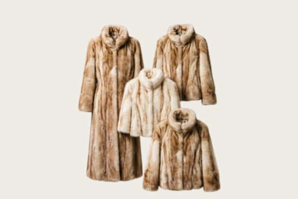 昌吉州回收皮草衣服